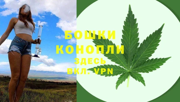 ПСИЛОЦИБИНОВЫЕ ГРИБЫ Заводоуковск