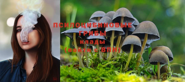 альфа пвп Зеленокумск