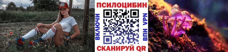 Псилоцибиновые грибы Magic Shrooms  Купить где  Фролово 